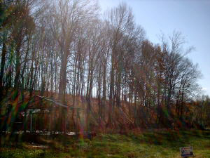 1942 Old Buddha Road Bedford, IN 47421 - Photo 4 of 7