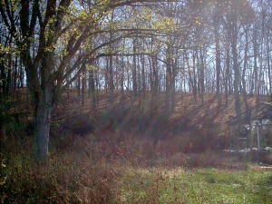 1942 Old Buddha Road Bedford, IN 47421 - Photo 5 of 7
