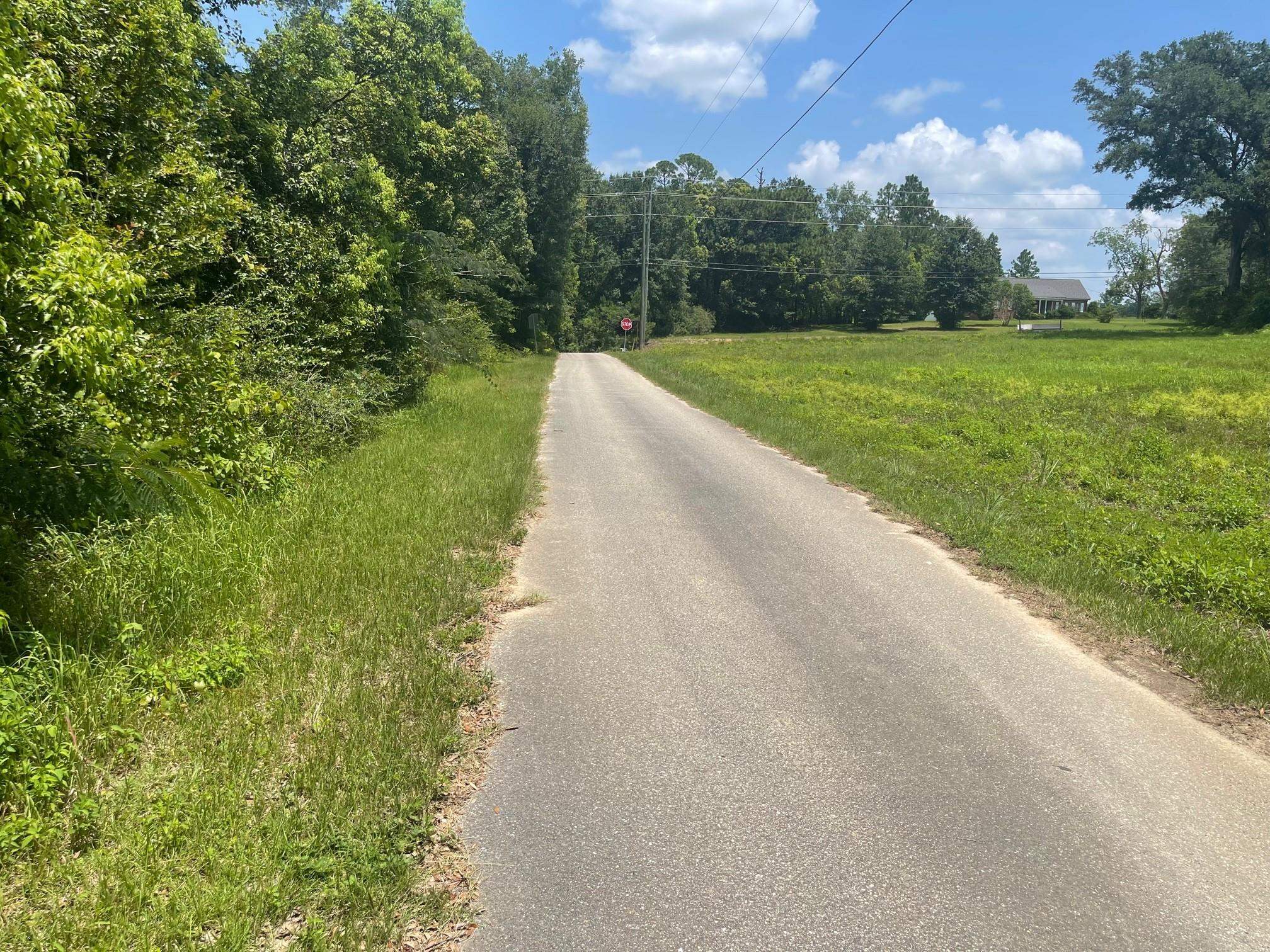 25636 Highway 98 Elberta, AL 36530 - Photo 6 of 24