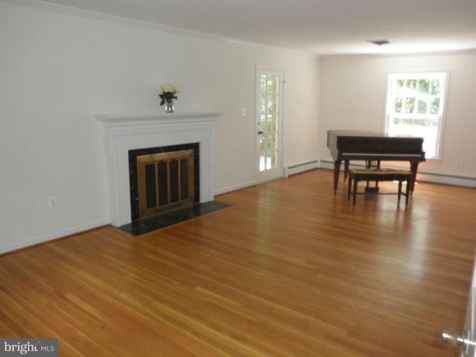 12140 Stirrup Road Reston, VA 20191 - Photo 10 of 30 Mason wood-burning fireplace
