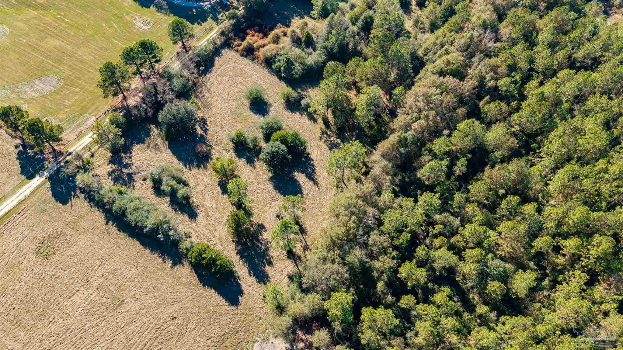 1756 Jacks Branch Road Cantonment, FL 32533 - Photo 9 of 29 a view of a lot of trees and houses
