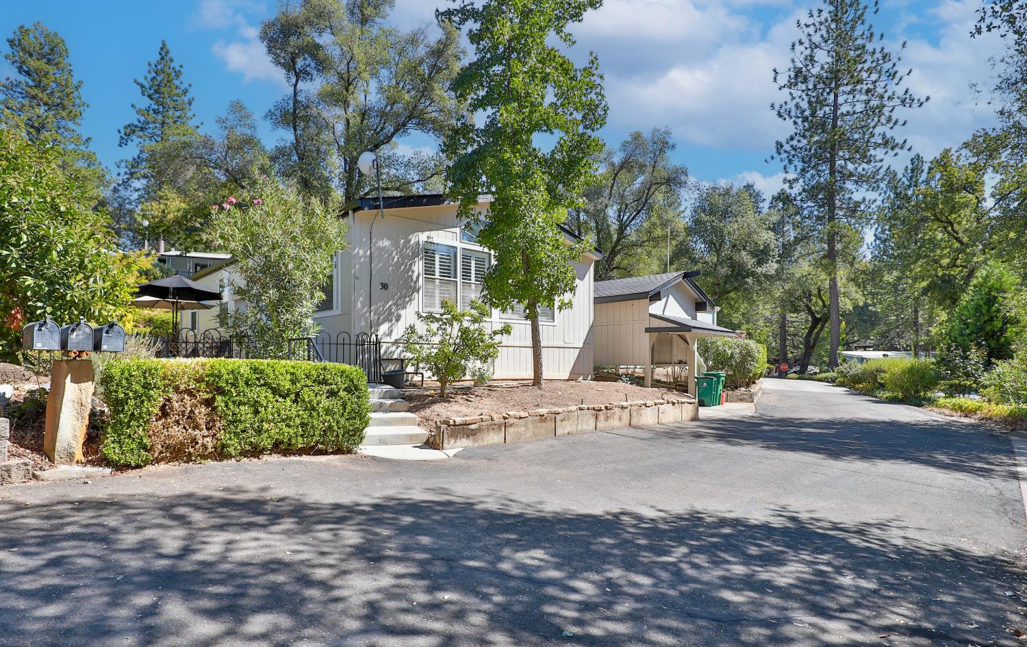 a front view of a house with a yard and a tree