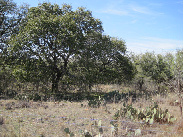 0 Ranch Road 2389 Mason, TX 76856 - Photo 1 of 1 Main View