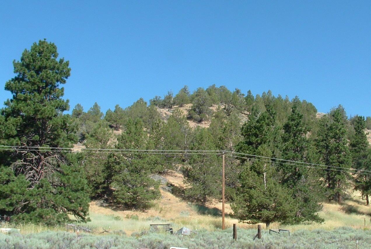 Macdoel District Road Macdoel, CA 96058 - Photo 3 of 6 macdoel prop. looking n/w