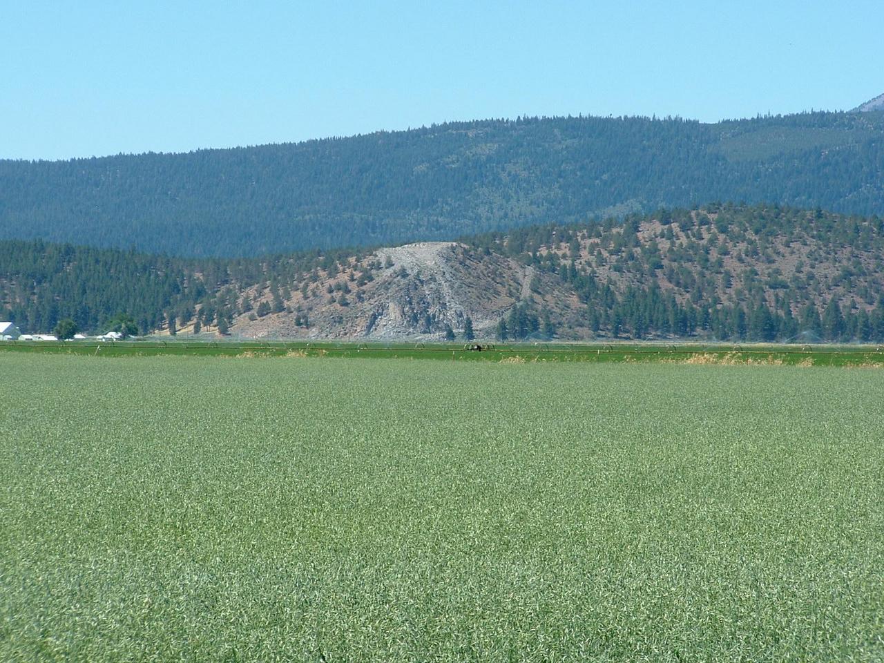 Macdoel District Road Macdoel, CA 96058 - Photo 6 of 6 macdoel prop in the distance