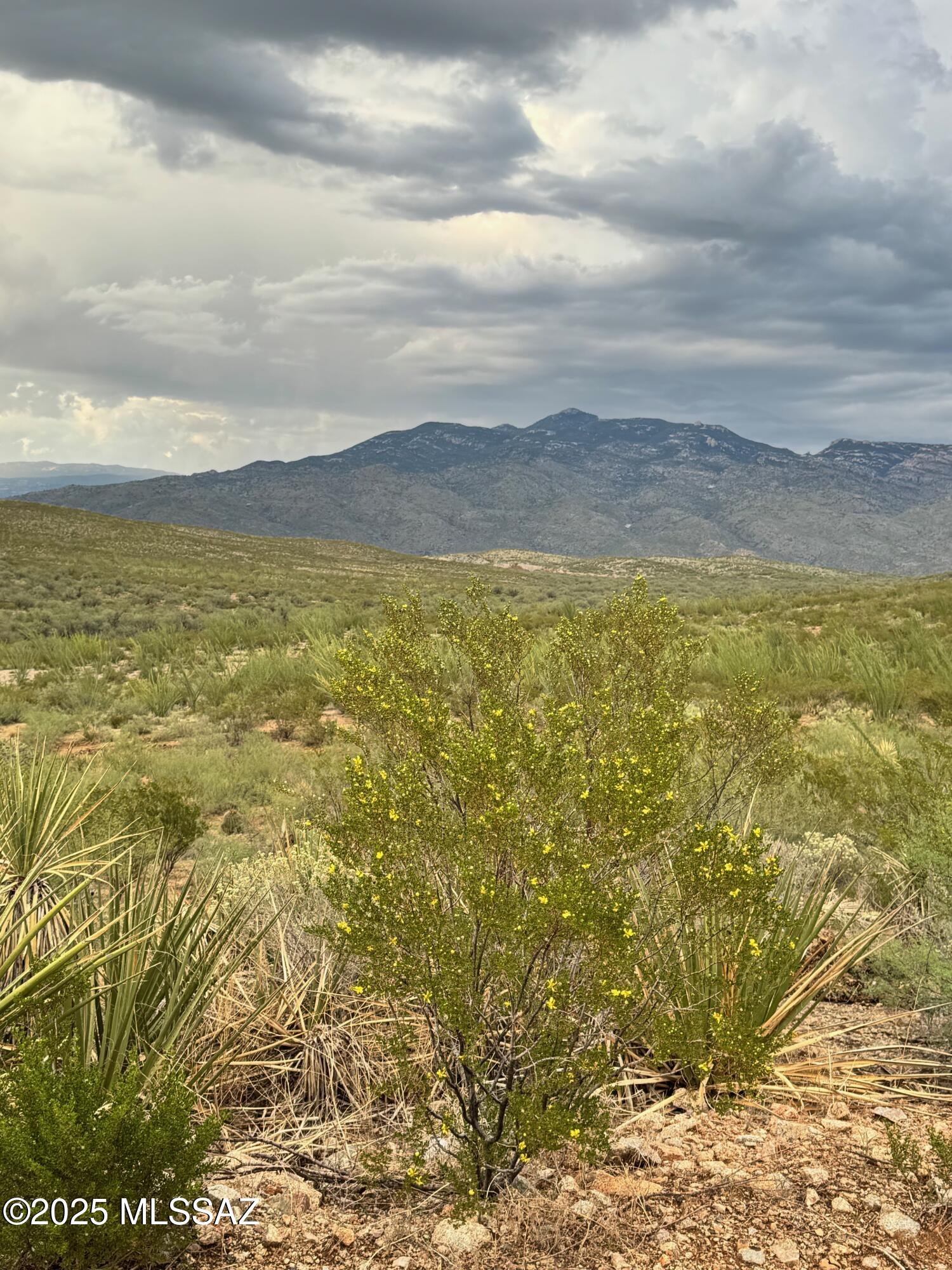 0 Justa Road Vail, AZ 85641 - Photo 23 of 44