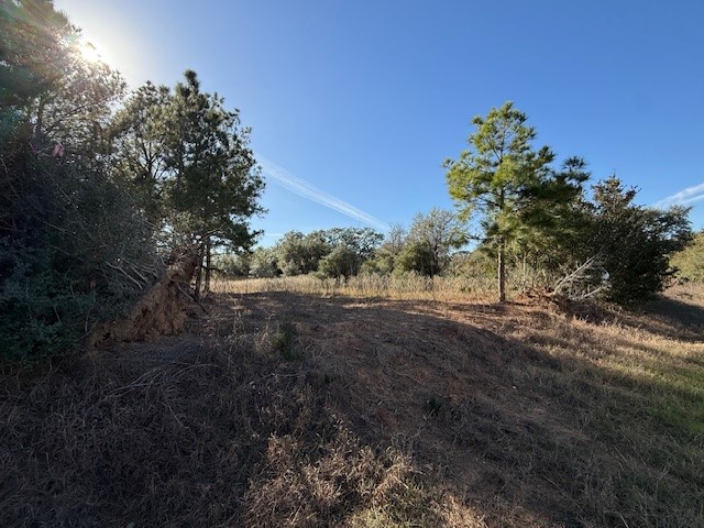 7179 Fm 141 Dime Box, TX 77853 - Photo 2 of 5 a view of a yard with a tree