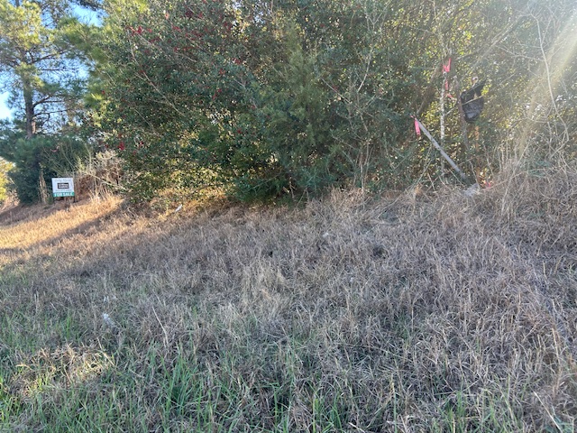 7179 Fm 141 Dime Box, TX 77853 - Photo 5 of 5 a view of a yard with a tree