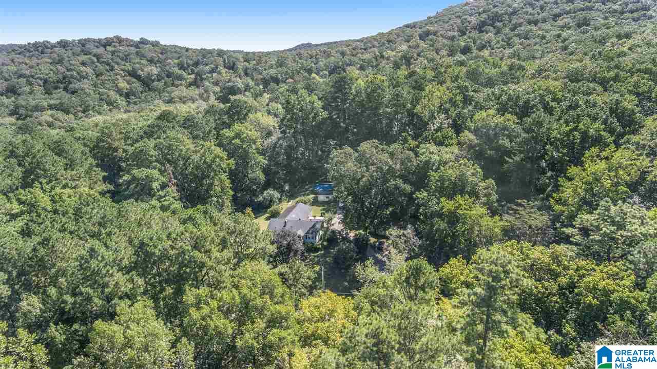 7545 Cedar Mountain Road Pinson, AL 35126 - Photo 36 of 36