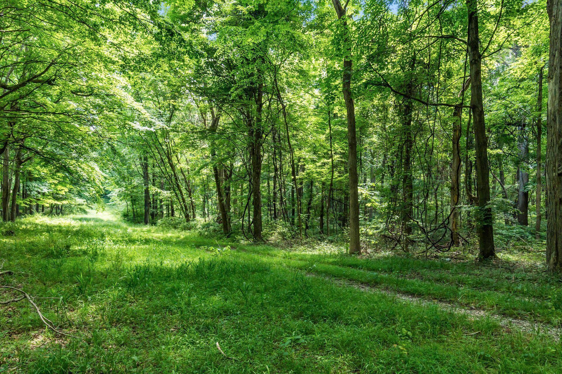 13807 Marshall Road Rockbridge, OH 43149 - Photo 20 of 33