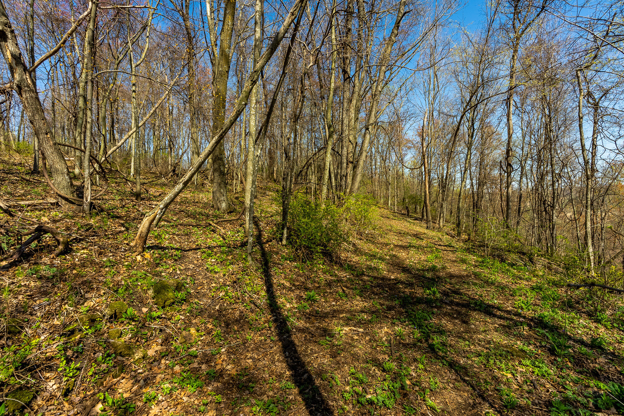 Lt2 Eli Valley Road Hillpoint, WI 53937 - Photo 22 of 47 Sauk-County-WI-53-Acres-Land-For-Sale-22