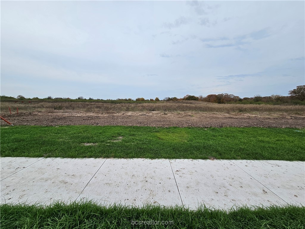 2823 CAPTAIN Court Bryan, TX 77808 - Photo 3 of 10