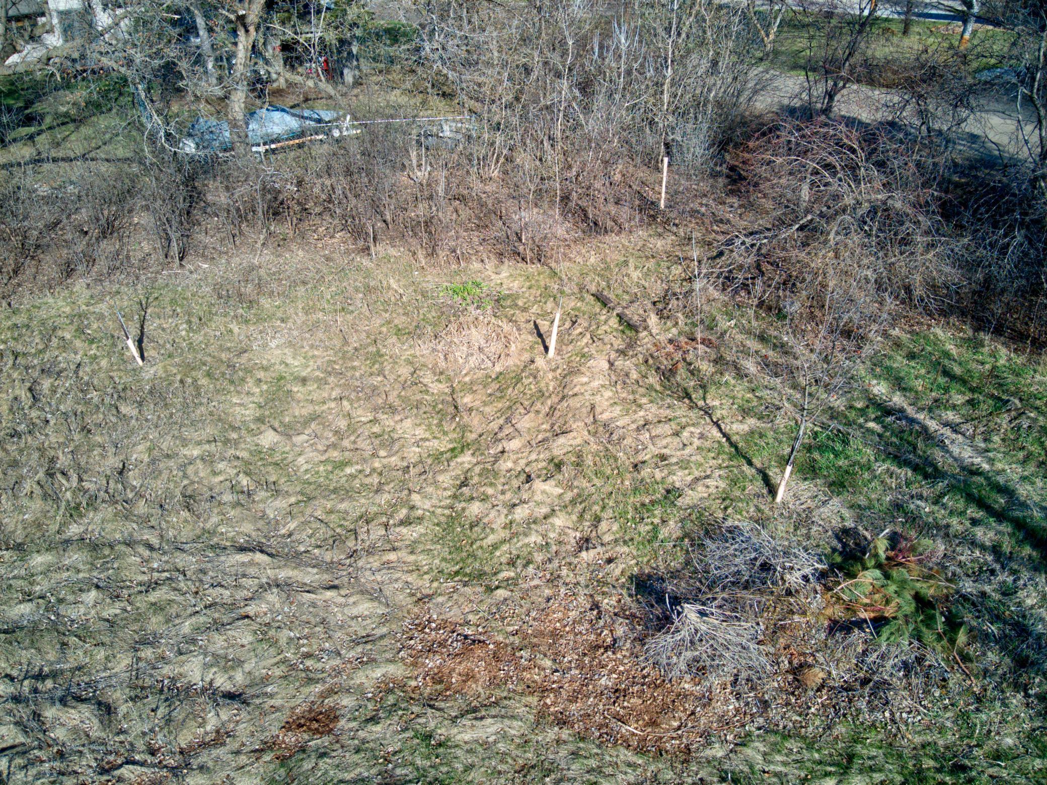 1410 Ridgewood Drive Fergus Falls, MN 56537 - Photo 14 of 25