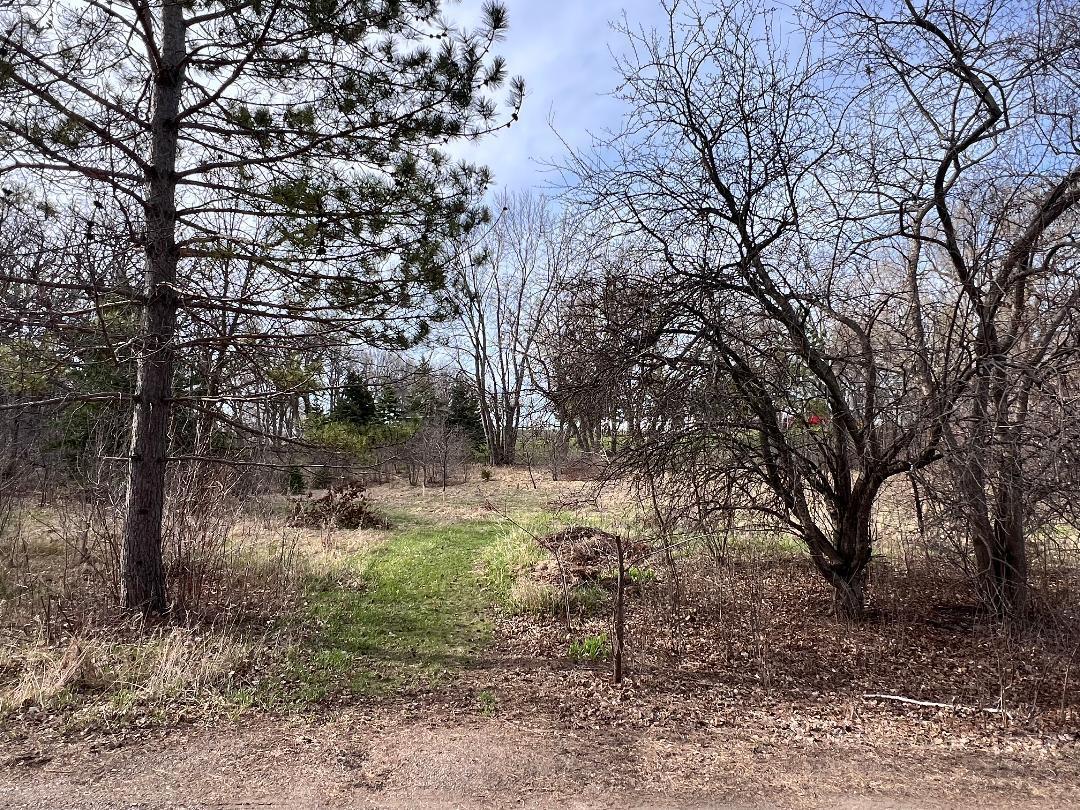 1410 Ridgewood Drive Fergus Falls, MN 56537 - Photo 23 of 25