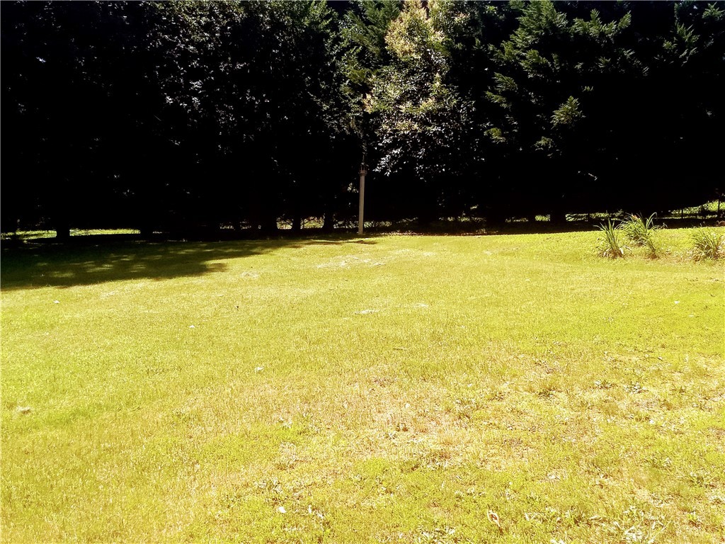 123 Charping Lane Anderson, SC 29621 - Photo 40 of 42 Left View of Back Yard