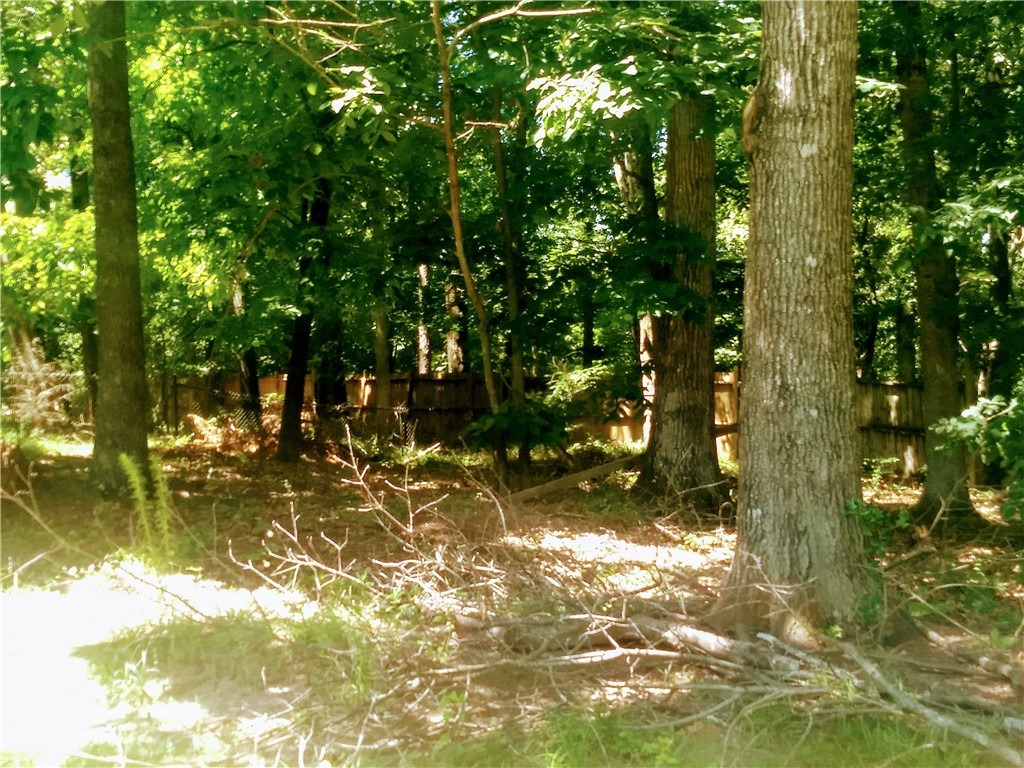 123 Charping Lane Anderson, SC 29621 - Photo 42 of 42 Right View of Back Yard