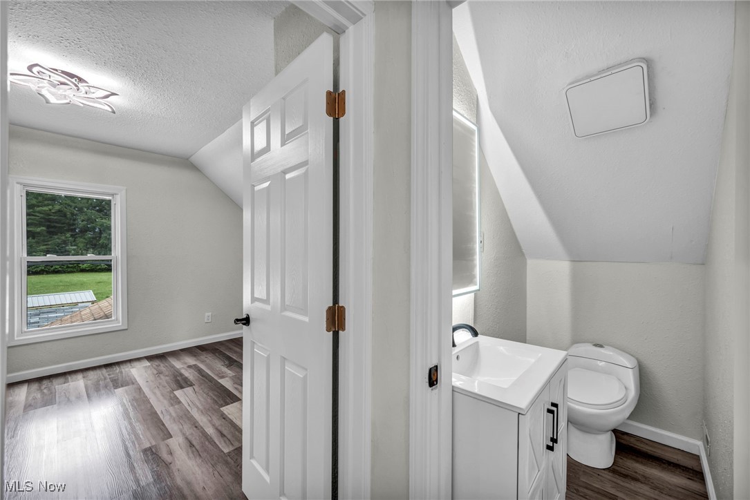 397 Furnace Road Conneaut, OH 44030 - Photo 19 of 36 Bathroom featuring wood finished floors, vaulted ceiling, vanity, and a textured ceiling