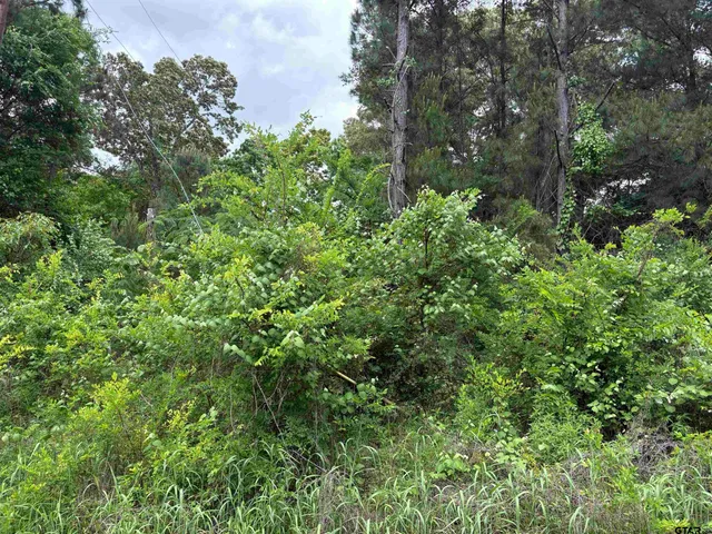 $17,500 | 404 Post Oak Drive, Bullard, TX 75757