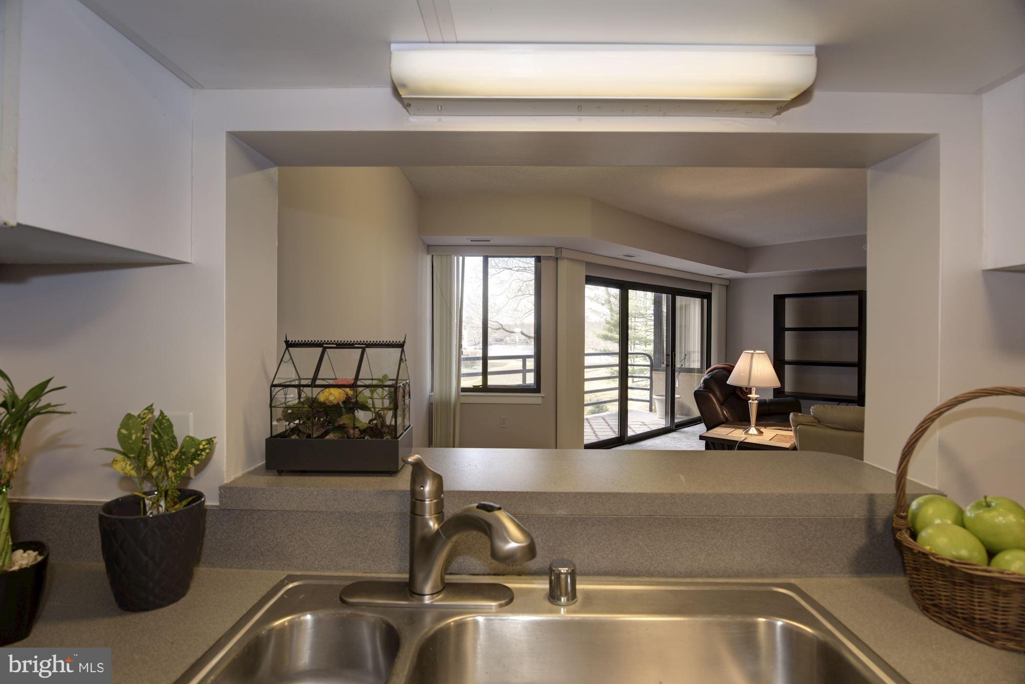 10001 Windstream Drive, Unit 404 Columbia, MD 21044 - Photo 9 of 29 a kitchen with a sink and a potted plant