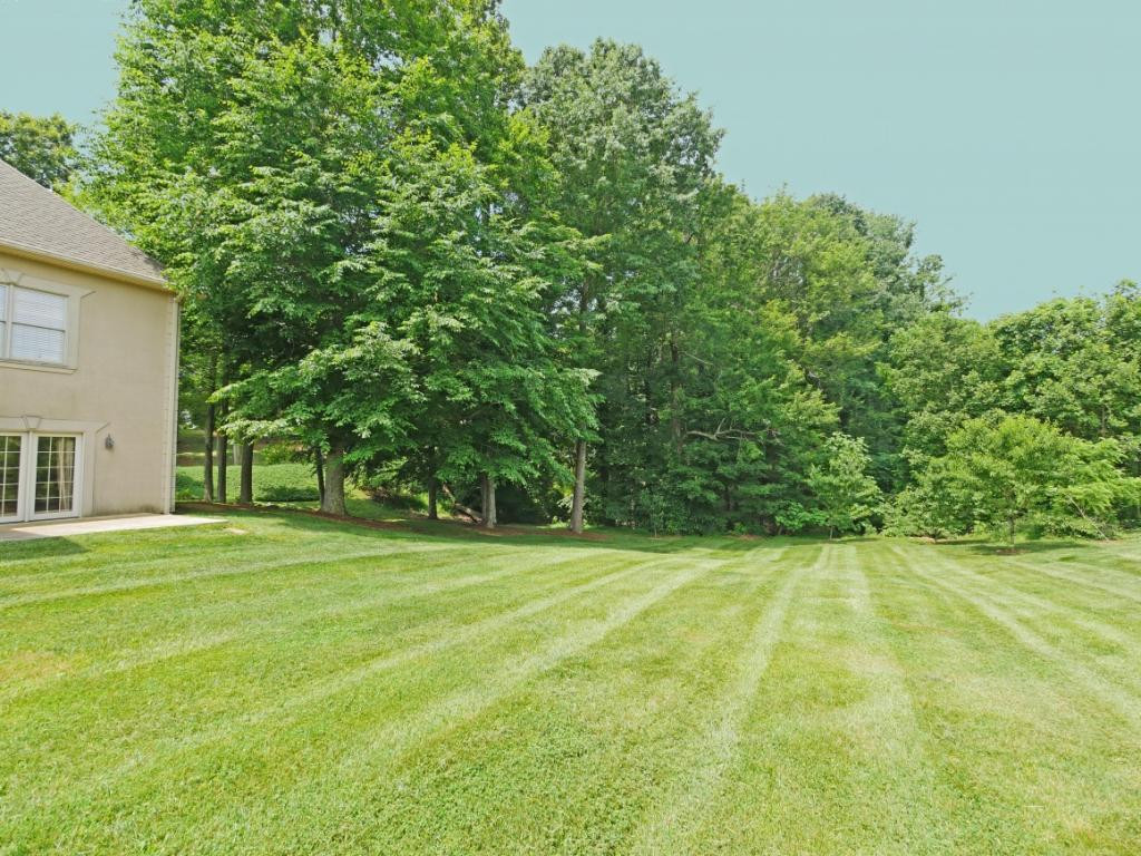 100 Chestnut Ridge Drive Jonesborough, TN 37659 - Photo 35 of 36 Great place to run and play