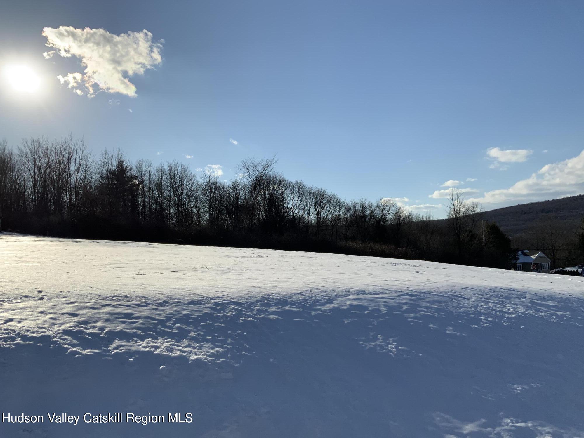 Tbd Smith Terrace Highland, NY 12528 - Photo 2 of 6 IMG_0912