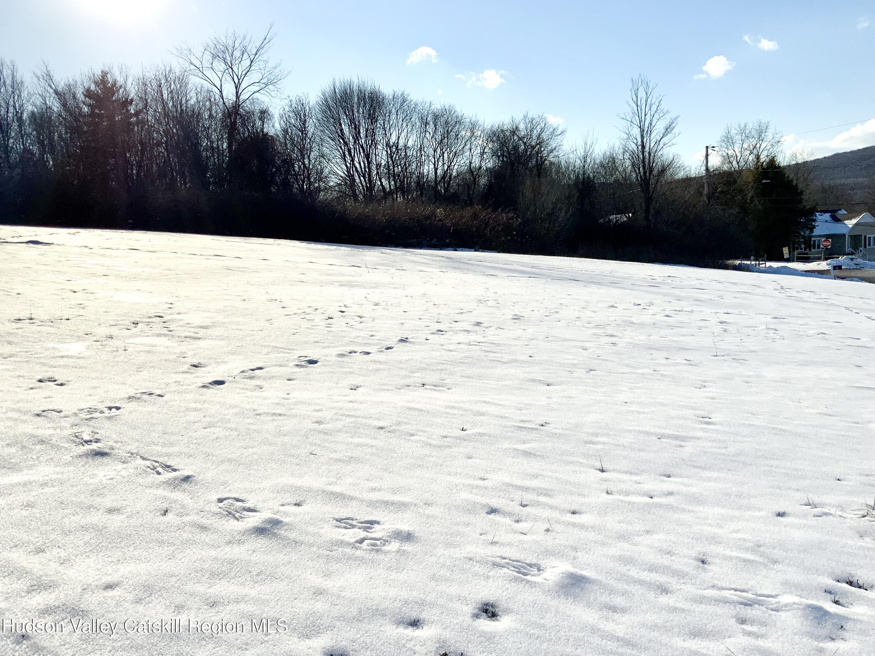 Tbd Smith Terrace Highland, NY 12528 - Photo 3 of 6 IMG_0909