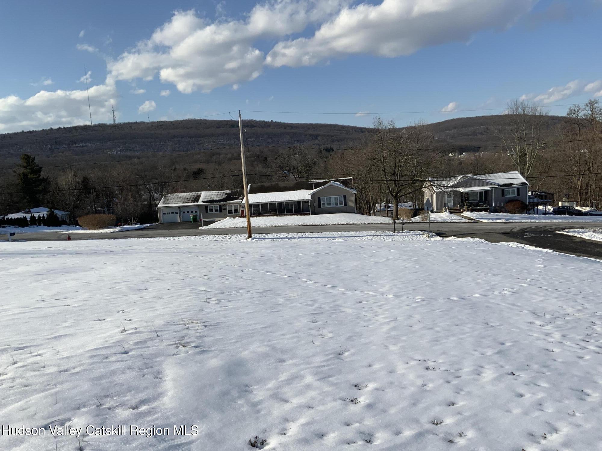 Tbd Smith Terrace Highland, NY 12528 - Photo 6 of 6 IMG_0911