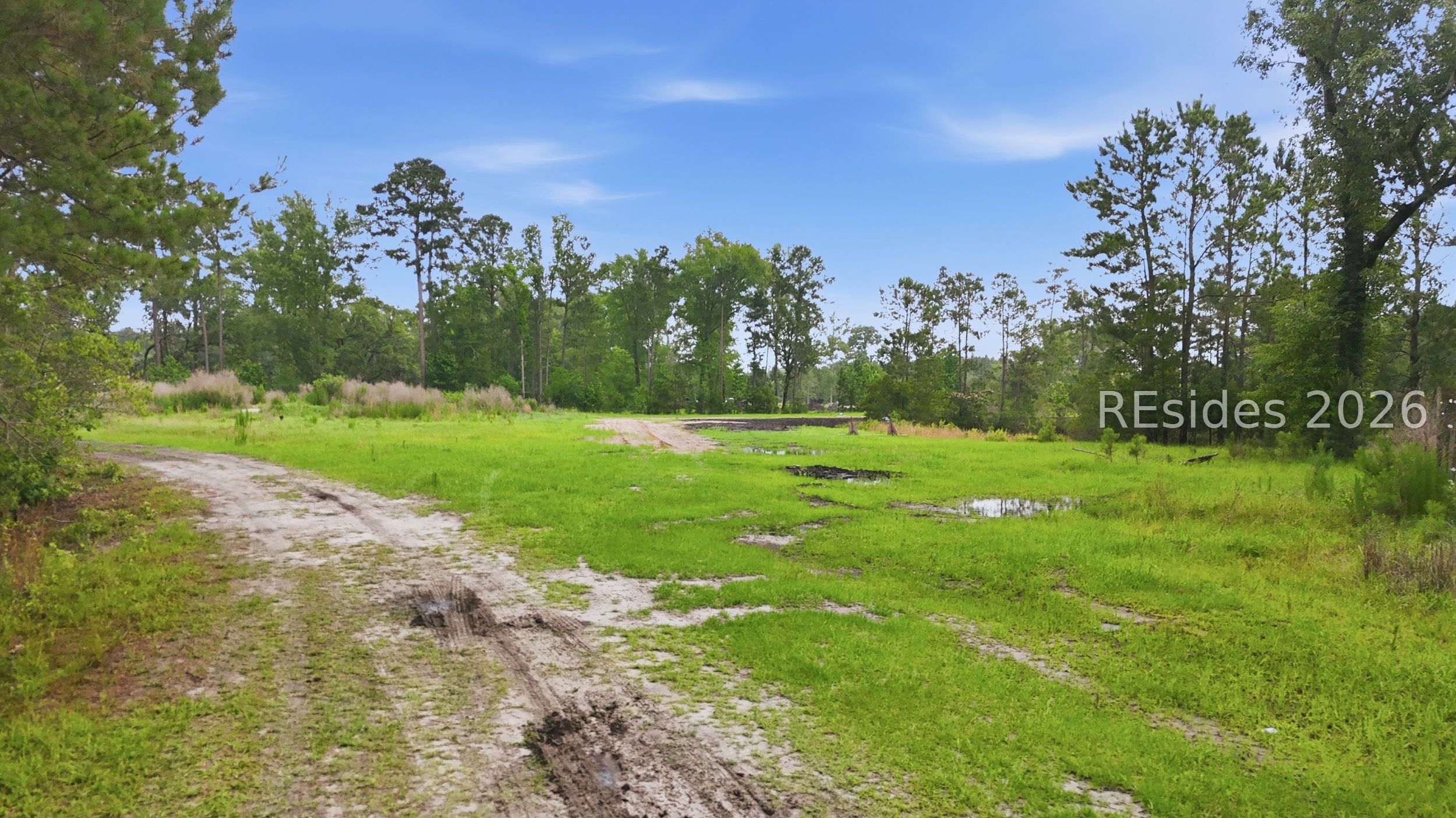 0 Riceshire Road Ridgeland, SC 29936 - Photo 4 of 19