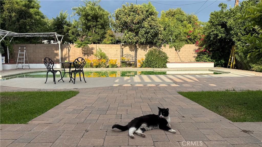 230 San Antonio Road Arcadia, CA 91007 - Photo 3 of 19 a view of outdoor space yard and patio