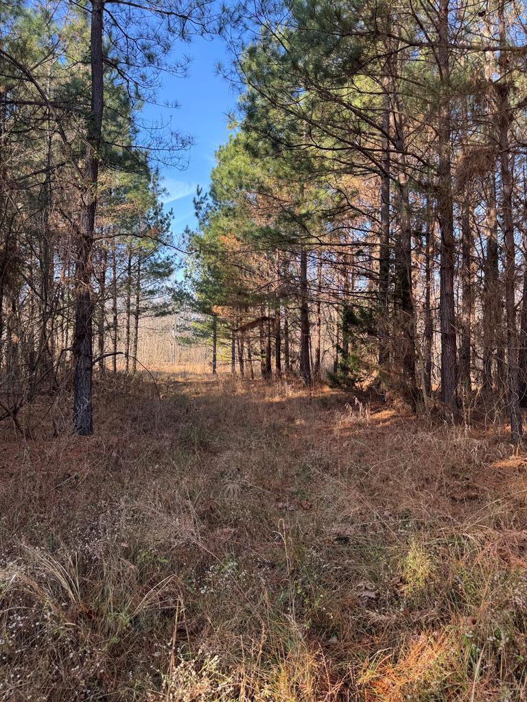 603 The Grove Road Blackstone, VA 23824 - Photo 24 of 26 Gallery Image 24