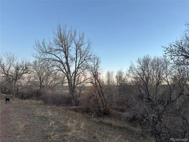 a view of sunset and a city