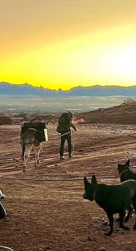 2301 West Rabbit Trail St. David, AZ 85630 - Photo 22 of 30