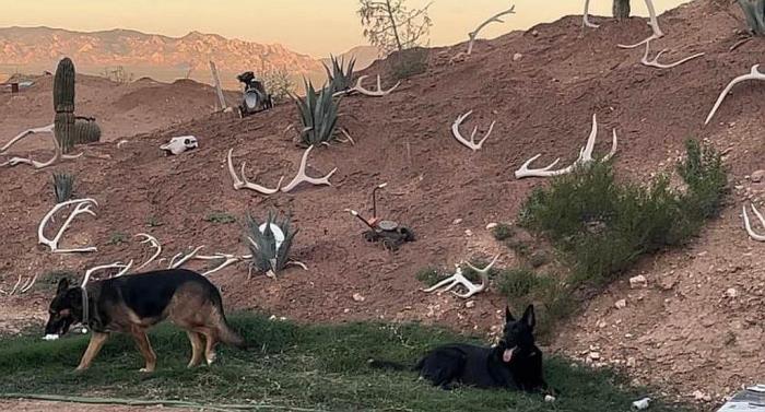 2301 West Rabbit Trail St. David, AZ 85630 - Photo 9 of 30