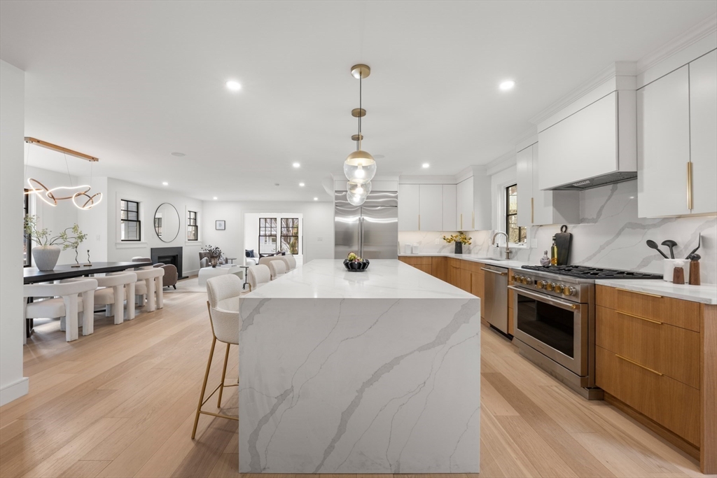 95 Stedman Street, Unit 1 Brookline, MA 02446 - Photo 2 of 23