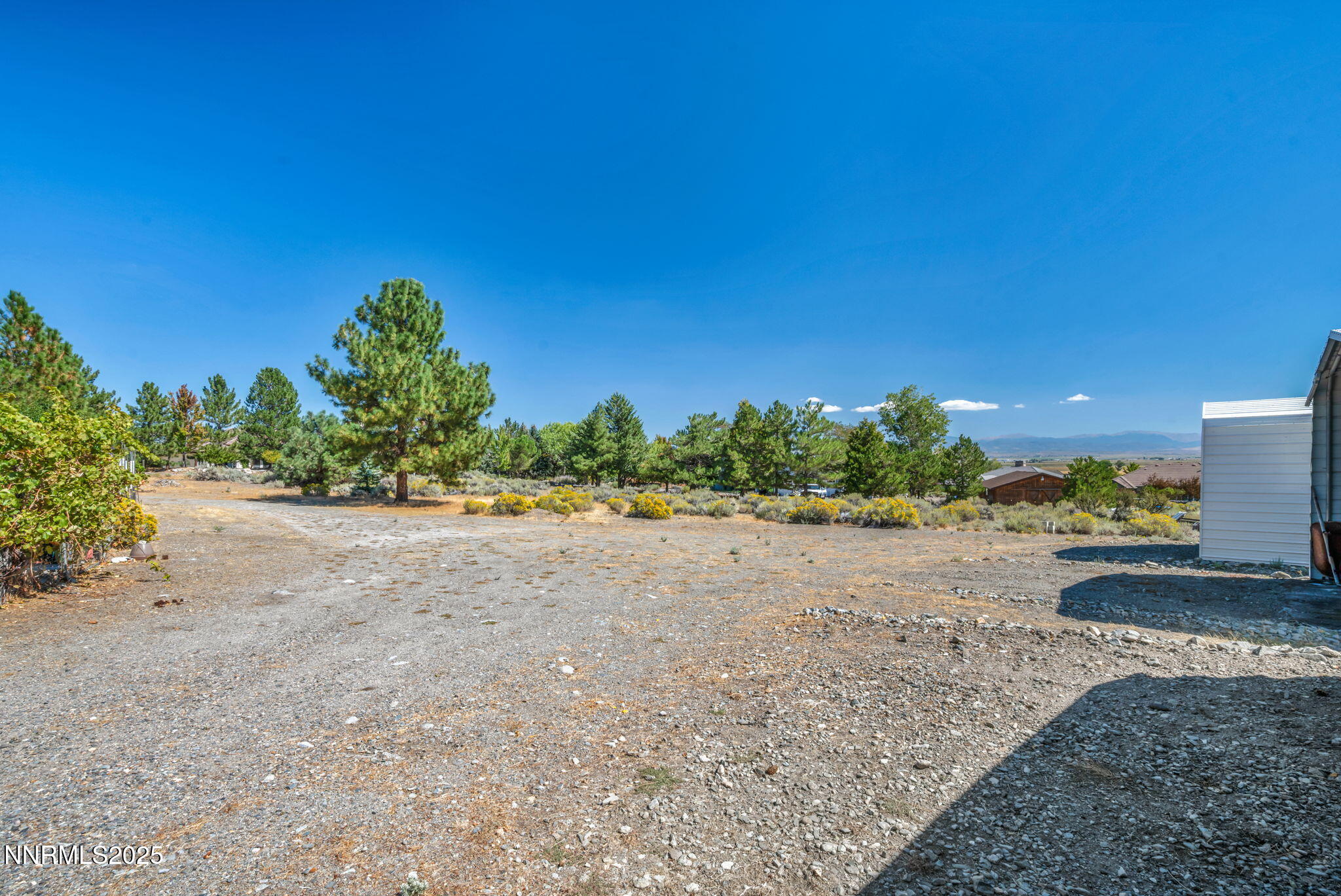2395 Jacks Valley Road Genoa, NV 89411 - Photo 25 of 33 a view of a yard with plants and a road