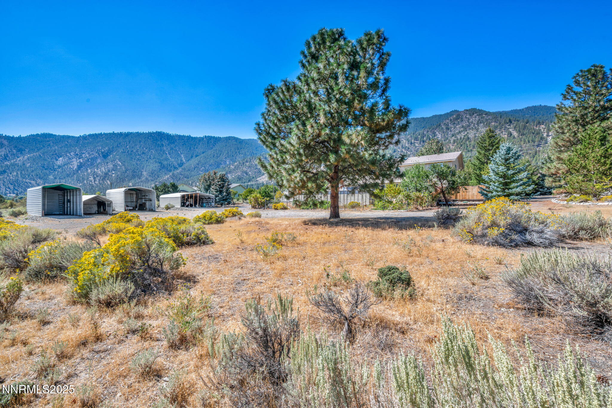 2395 Jacks Valley Road Genoa, NV 89411 - Photo 28 of 33 30-web-or-mls-2395-jacks-valley-rd