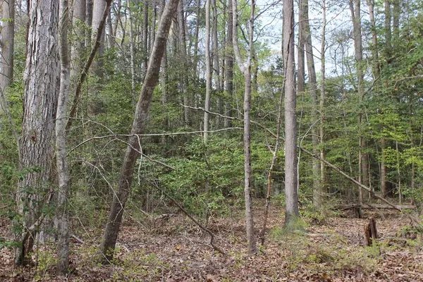 $1,000 | 79 Pieces Of Eight Court, Unit 79, Greenbackville, VA 23356
