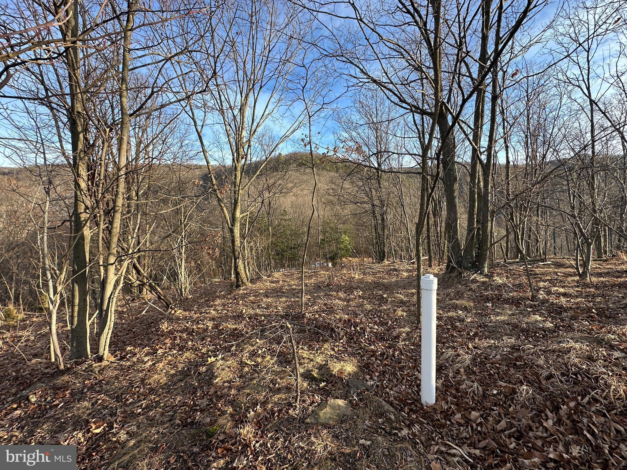 333 Nathaniel Mountain Road Moorefield, WV 26836 - Photo 12 of 65
