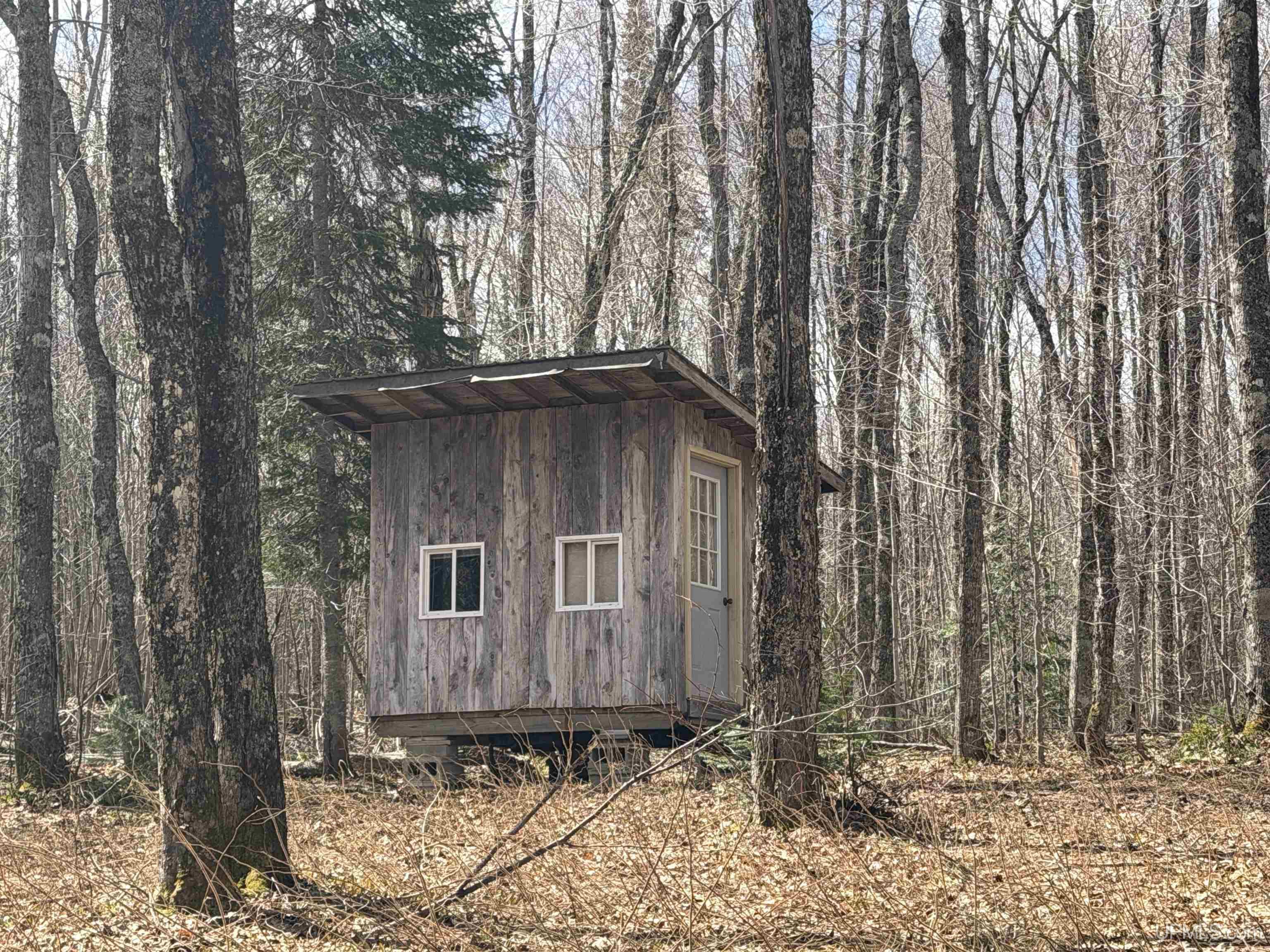 11445 Chesbrough Lake Road Newberry, MI 49868 - Photo 35 of 75