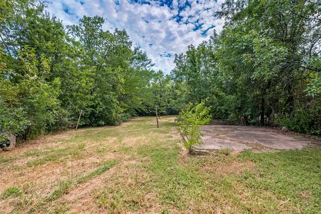 a view of a yard with a tree
