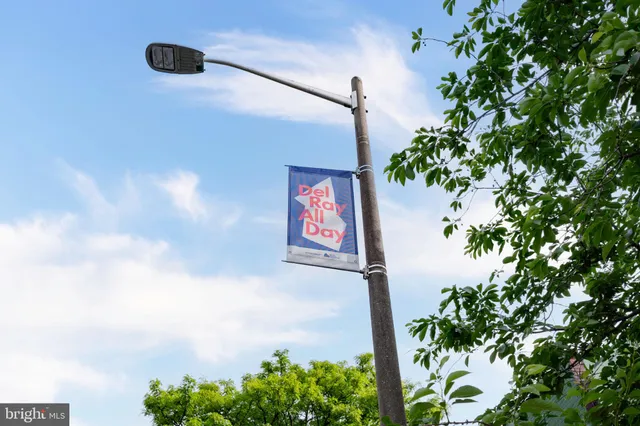 a store room with lots of different kinds of flowers