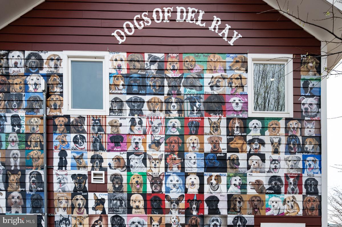 226 Guthrie Avenue Alexandria, VA 22305 - Photo 41 of 54 a store room with lots of different kinds of flowers