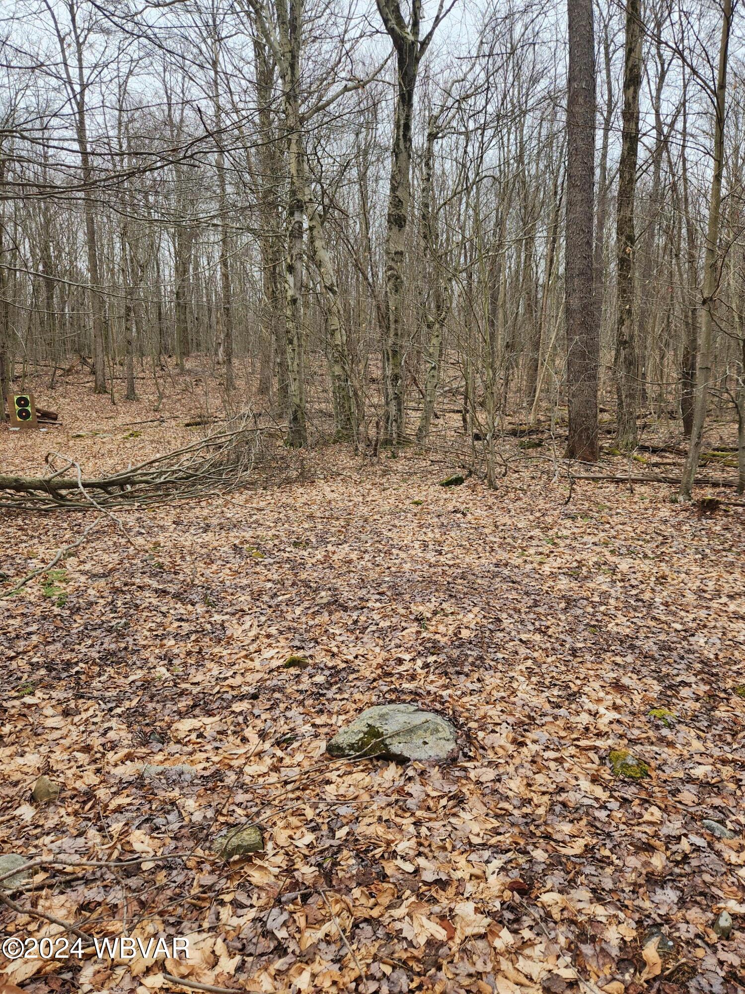 0 Telich Road, Unit LOT 6 Dushore, PA 18614 - Photo 2 of 7 Gallery Image 2