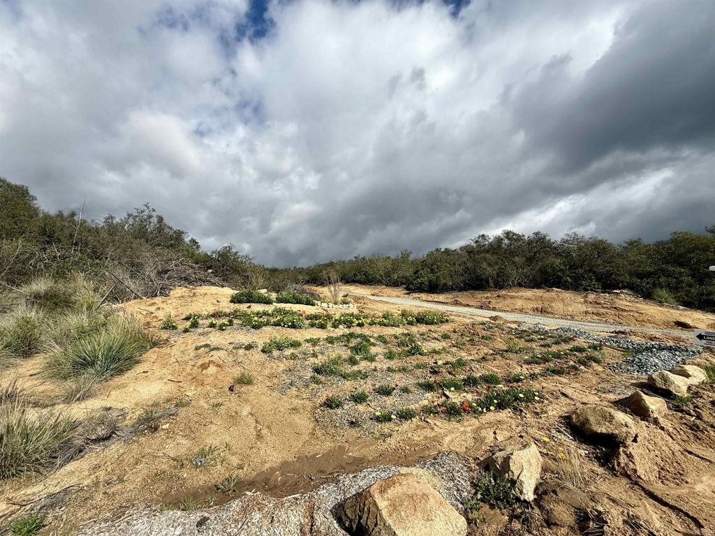 0 Mt Olympus Valley Road Fallbrook, CA 92028 - Photo 15 of 50 a view of a yard
