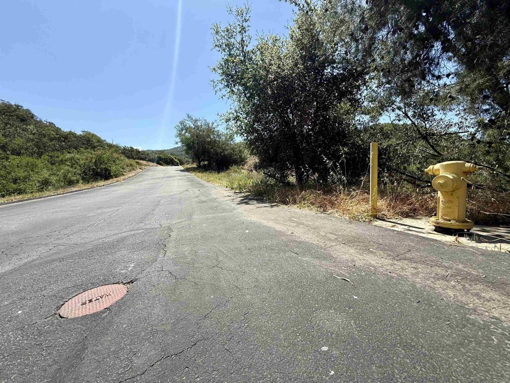 0 Mt Olympus Valley Road Fallbrook, CA 92028 - Photo 23 of 50 a view of a street with trees