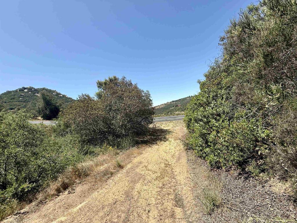 0 Mt Olympus Valley Road Fallbrook, CA 92028 - Photo 27 of 50 a view of a yard with a tree