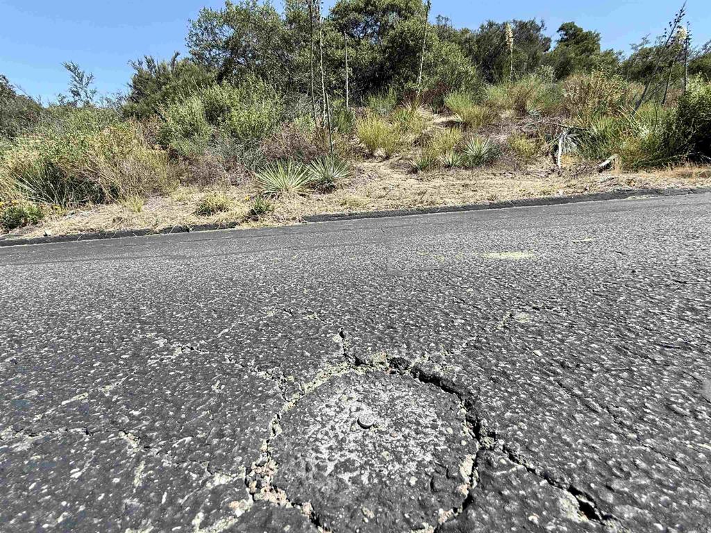 0 Mt Olympus Valley Road Fallbrook, CA 92028 - Photo 29 of 50 a view of a yard with trees
