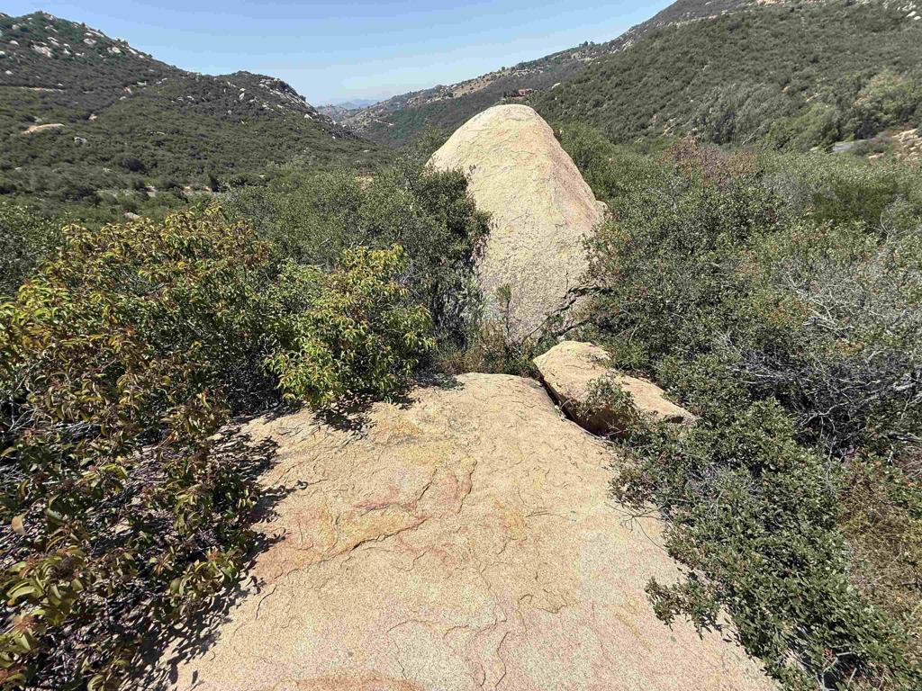 0 Mt Olympus Valley Road Fallbrook, CA 92028 - Photo 33 of 50 a view of a backyard of the house