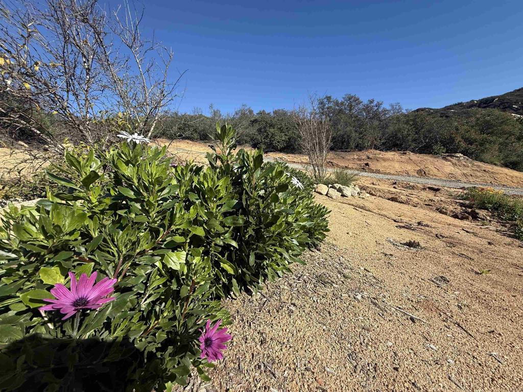 0 Mt Olympus Valley Road Fallbrook, CA 92028 - Photo 50 of 50