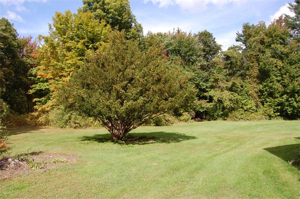 169 Old County Road Lancaster, MA 01523 - Photo 12 of 14